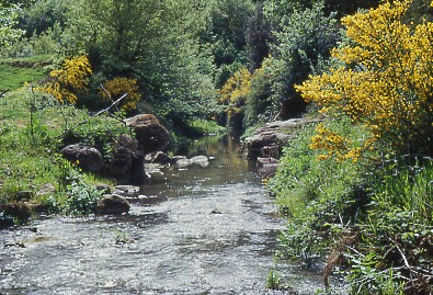 Riserva Naturale Regionale Monterano